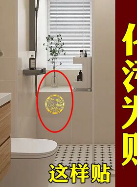 净化厕所荷花鲤鱼牌贴马桶净秽