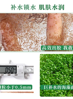 补水保湿小颗粒海藻面膜收细毛孔