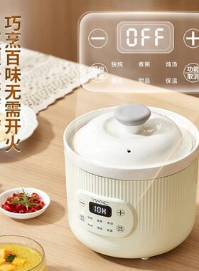 日本品质陶瓷快炖电炖锅煲汤煮粥