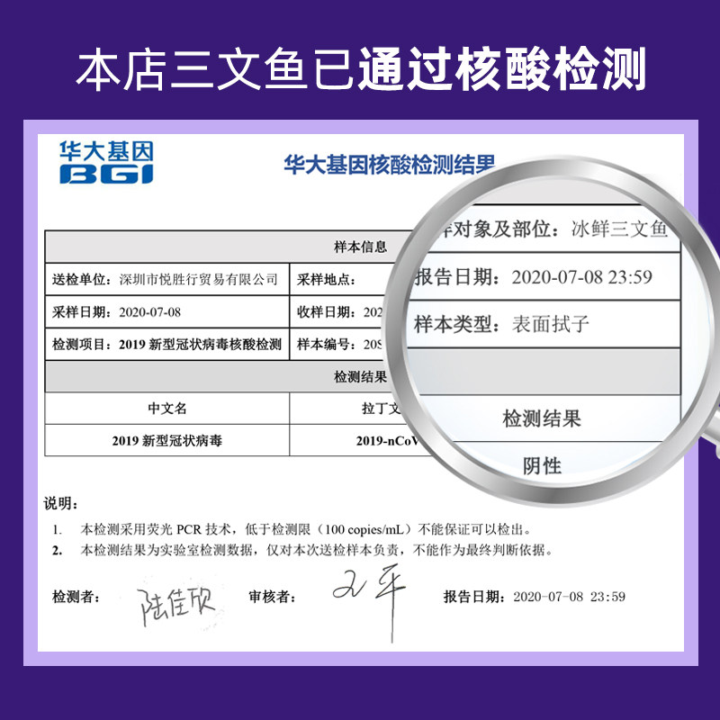 挪威进口冰鲜一整条三文鱼新鲜切片 深悦胜食品三文鱼