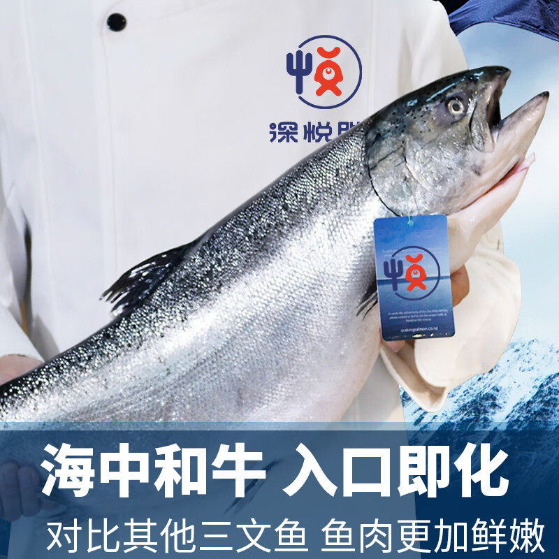 冰鲜新西兰整条帝王鲑三文鱼 桑福德进口一条帝皇鲑中段鱼腩刺身