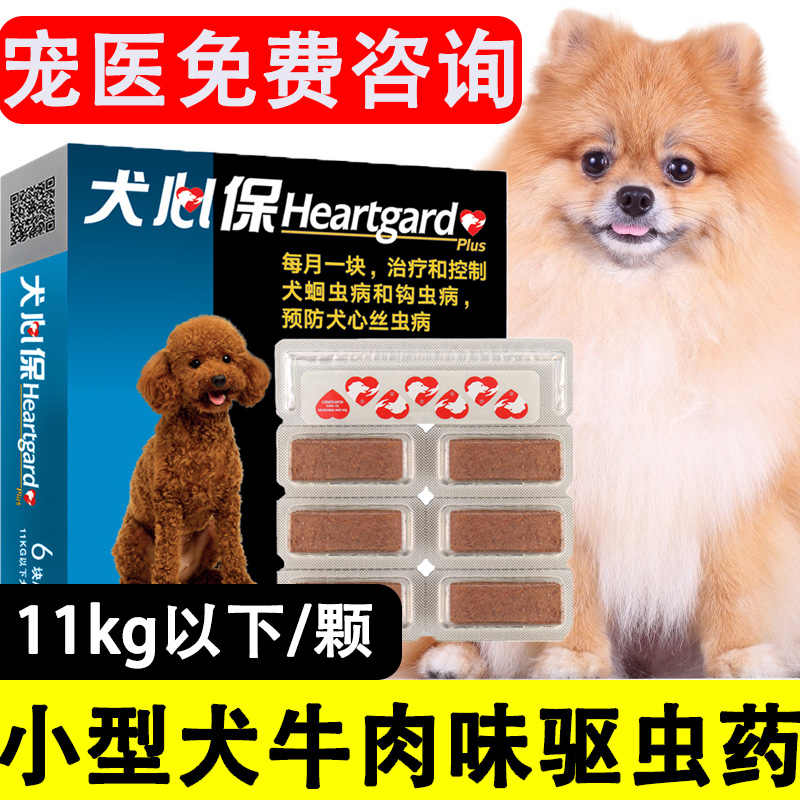 小号博美犬 新人首单立减十元 22年8月 淘宝海外