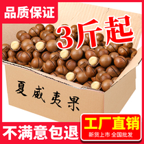 Natural Hawaii Fruits 2023 New Goods 5 Catty 3 Wholesale Milky Cream Flavor Original Taste Nuts Dried Fruits No Additives