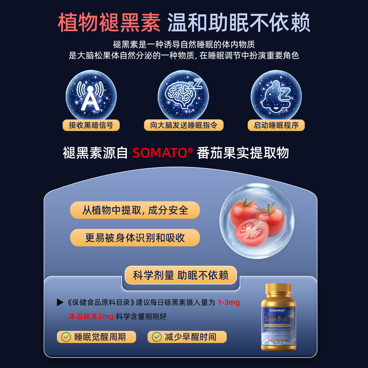 Ensonkan安迅康植物褪黑素睡眠片茶氨酸色氨酸助眠舒压无依赖60粒