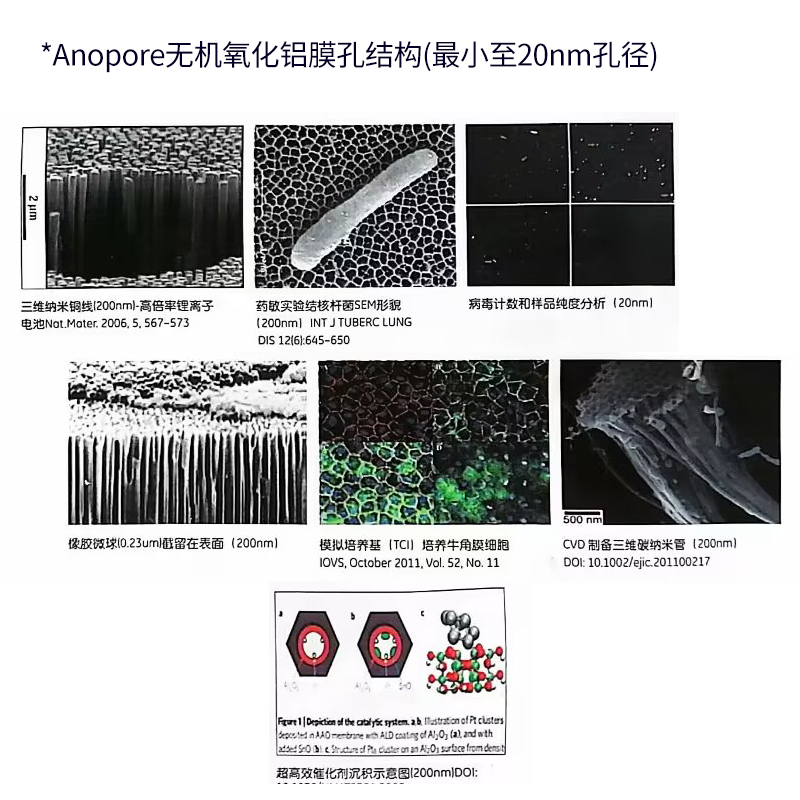 Whatman沃特曼AAO膜双通道无机氧化铝滤膜过滤纳米材料Anopore氧化铝滤膜Anodisc13/25/47MM 0.2/0.1/0.02μm - 图2