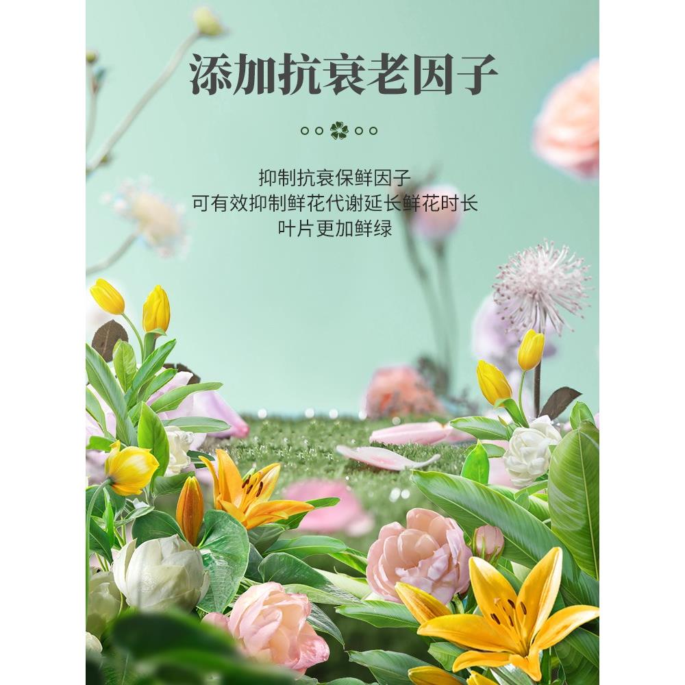 鲜花保鲜剂营养液家用醒百合通用型玫瑰花店插花花卉园艺养护植物 - 图1