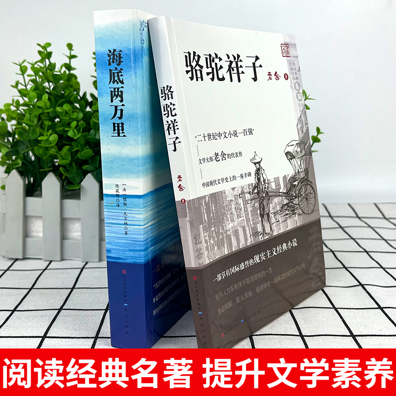 七八九年级下册必读海底两万里骆驼祥子简爱和儒林外史钢铁是怎样炼成的经典常谈老师人民文学出版社推荐原著正版老舍书人教初中-图2