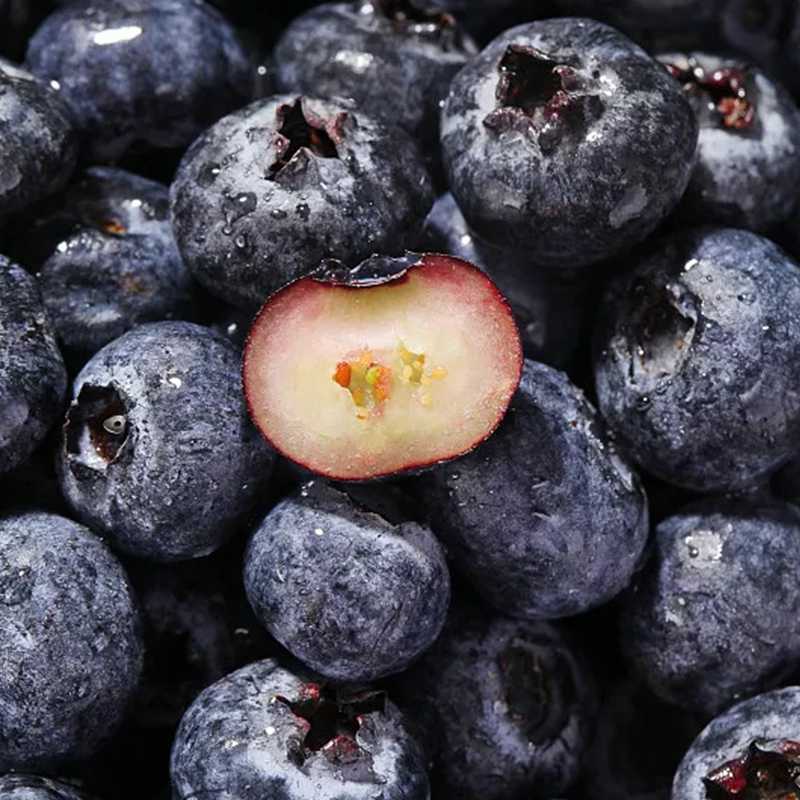 【12盒】怡颗莓云南蓝莓限量版新鲜超大果当季水果一颗梅顺丰包邮