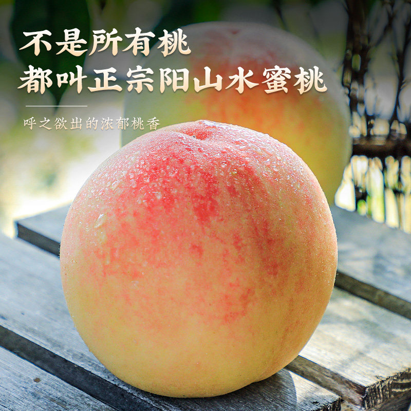 正宗无锡水蜜桃子现摘新鲜高端水果阳整箱应当季毛白凤山湖景礼盒