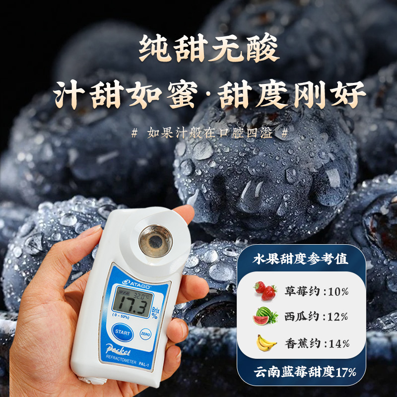 云南蓝莓鲜果特大礼盒高山花香新鲜水果当季顺丰5斤一颗蓝梅枝超