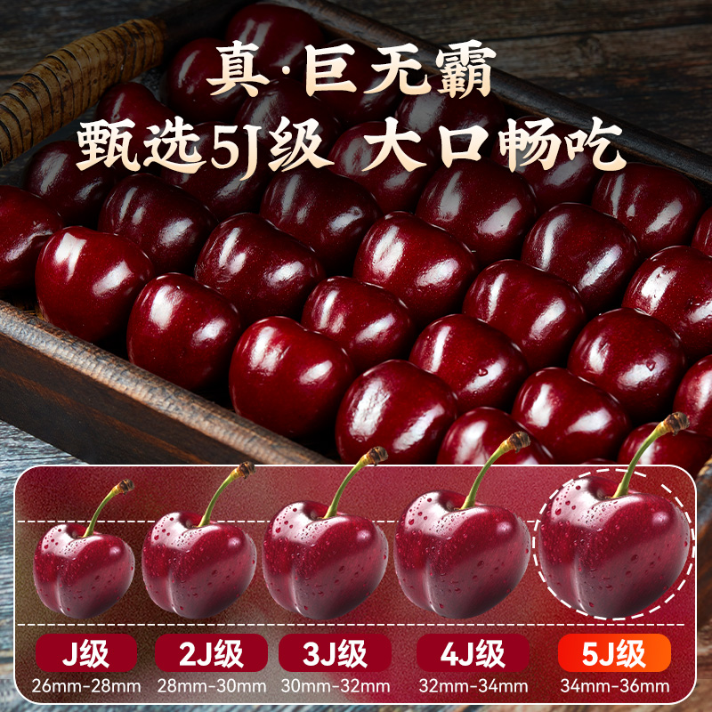 现货大连美早大樱桃5斤顺丰包邮国产车厘子新鲜水果整箱jjj智当季