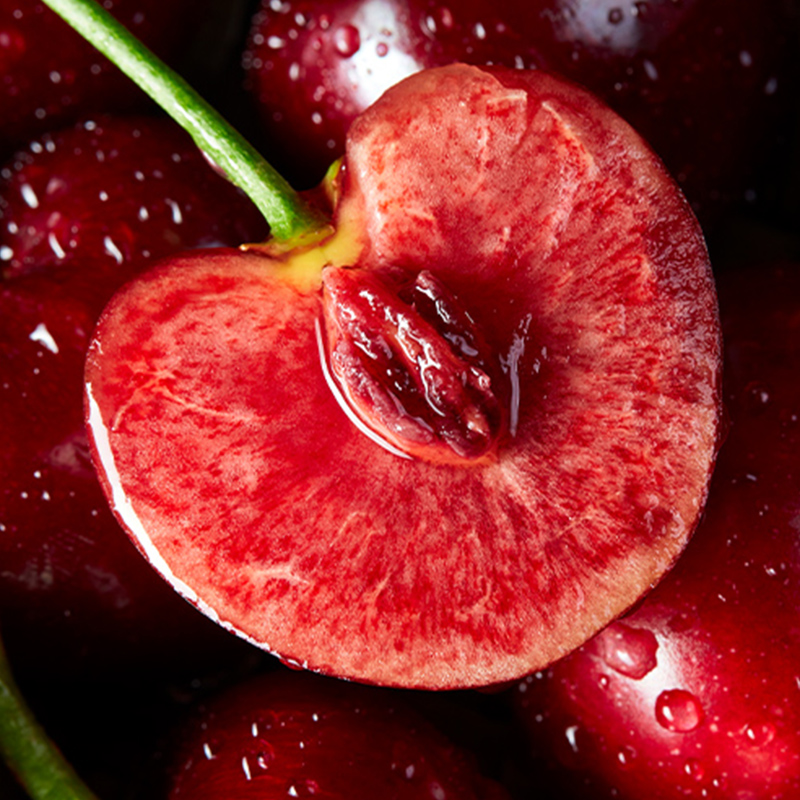  阳山杨氏车厘子/樱桃