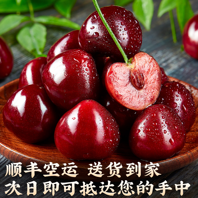 现货大连美早大樱桃5斤顺丰包邮国产车厘子新鲜水果整箱jjj智当季