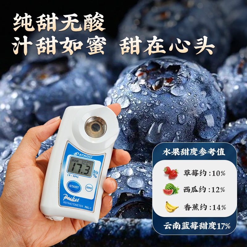 云南高山蓝莓鲜果特大果5斤新鲜水果应当季整箱一颗蓝梅超礼盒装