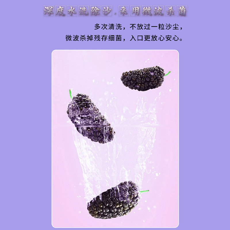 枣乐趣桑葚干礼盒新货黑桑葚果干礼品泡水送礼零食团购批发