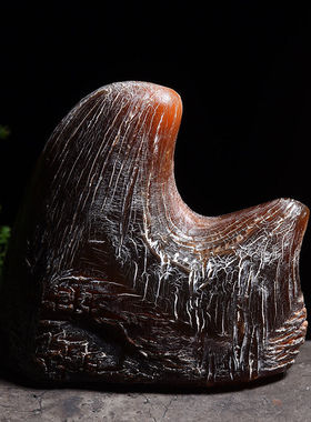 天然双角珍藏披毛犀工艺品