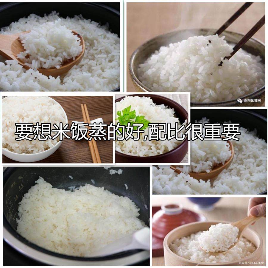 煮大米饭水与米的比例各放多少蒸米饭配比计量杯刻度量水杯量米杯,淘宝优惠券,粉丝福利购,淘宝优惠卷