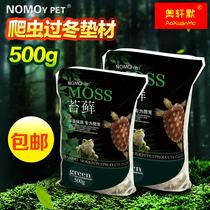 Reptiles Moisturizing Water Moss Moss Turtle Winter Sleeping Reptile Palate Spider Corner Frog Sustena Crab View Green Moss