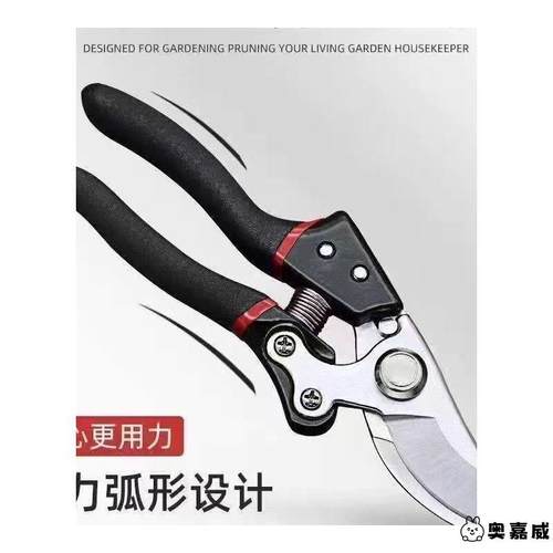 修剪树枝剪刀大号专业园艺修枝剪 园林果树剪枝剪专用盆景花艺剪 - 图3