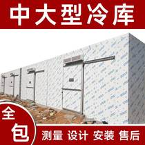 Shaanxi Fruits Vegetable Preservation Refrigeration Depot Full Range Equipment Commercial Large Small Meat Seafood Refrigerated Freezer Installation
