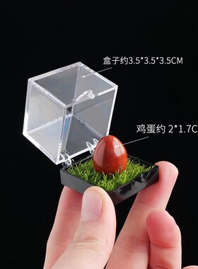 设计天然c水晶鸡蛋矿标盒水晶原石微景观矿石标本儿童挖矿科普