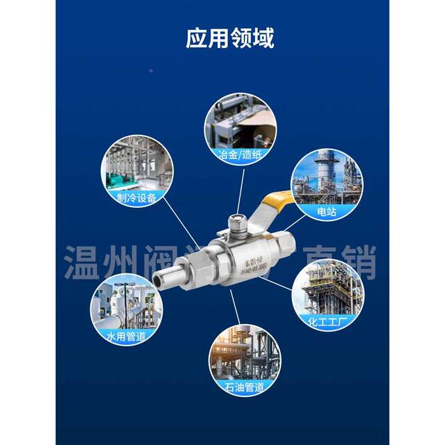 304 stainless steel welding ferrule gas source ball valve Q21F-64P high pressure union QGQY1 butt welding instrument external thread