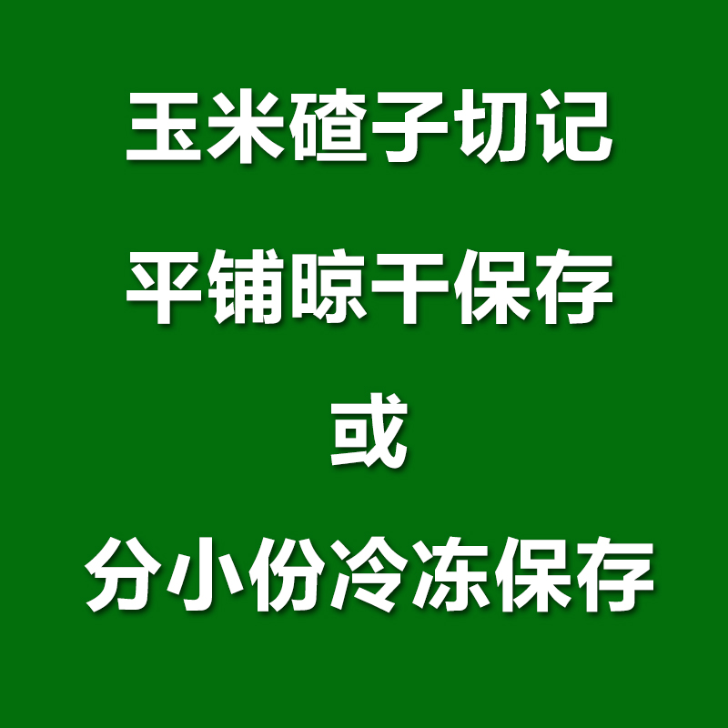 东北笨大碴子5斤新粮大碴粥专用农家自产去皮笨玉米碎苞米碴子-图1