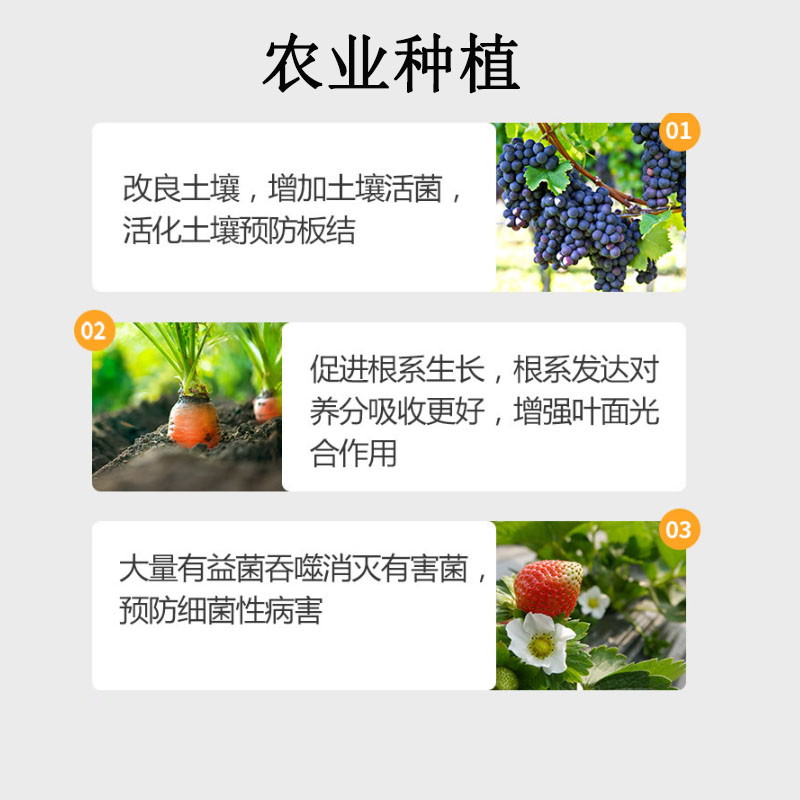 1000亿地衣全水溶芽孢杆菌分解有机质重茬病护苗促生根壮苗解磷菌 - 图1