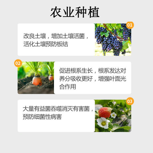 2000亿EM菌农业种植堆肥发酵菌种防治根腐病枯萎病微生物菌剂通用 - 图0