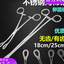 Stainless Steel Sponge Pliers Medical Pliers With Cupping Jars Eggs Round Pincers Straight Head Elbows Unteeth With Teeth Sea Cotton Clips 25cm