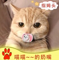 Kitty Appeaters Pacifier Pet Cat With Pacifier Special God Instrumental Newborn Puppies Puppies Sleep to Grind Their Teeth