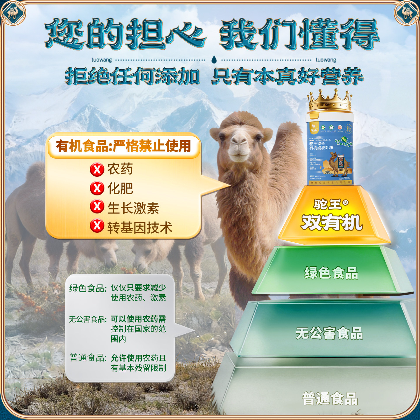 驼王儿童成长骆驼奶粉助力高个正宗新疆有机纯驼乳正品官方旗舰店