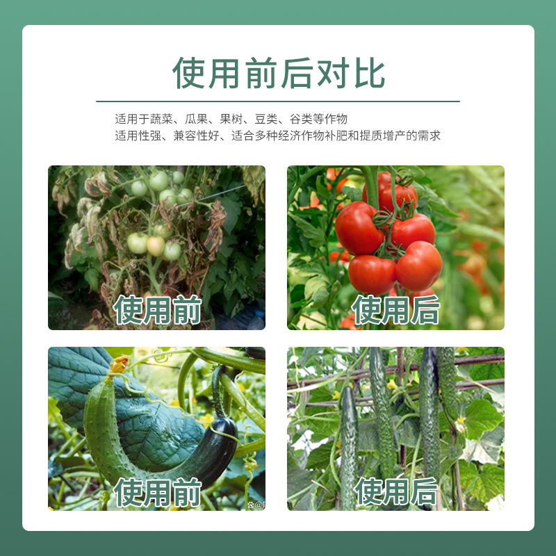 根多多生根剂壮苗水溶生物菌肥果树蔬菜促进生根育苗海藻根多多 - 图2