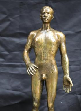 铜针灸模型铜人摆件书房中医馆药店装饰摆设铜穴位人仿古玩收藏