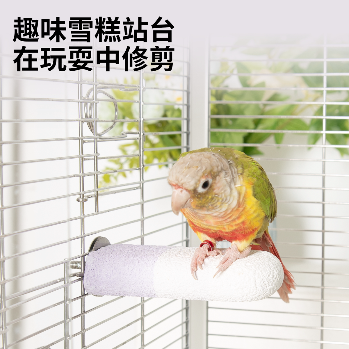 图2