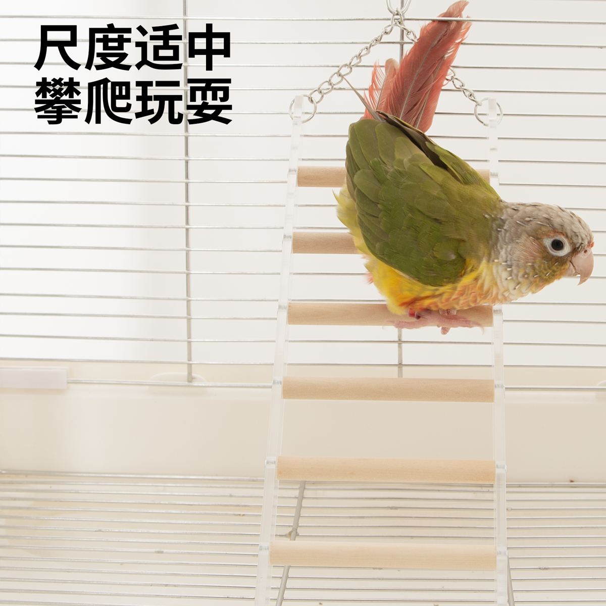 优嗖鹦鹉亚克力爬梯秋千鸟玩具攀爬站架木棍玄凤虎皮牡丹锻炼解闷,淘宝优惠券,粉丝福利购,淘宝优惠卷