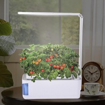 Desk Lamp  Hydroponic Indoor Herb Garden Kit Smart Multi-Fun