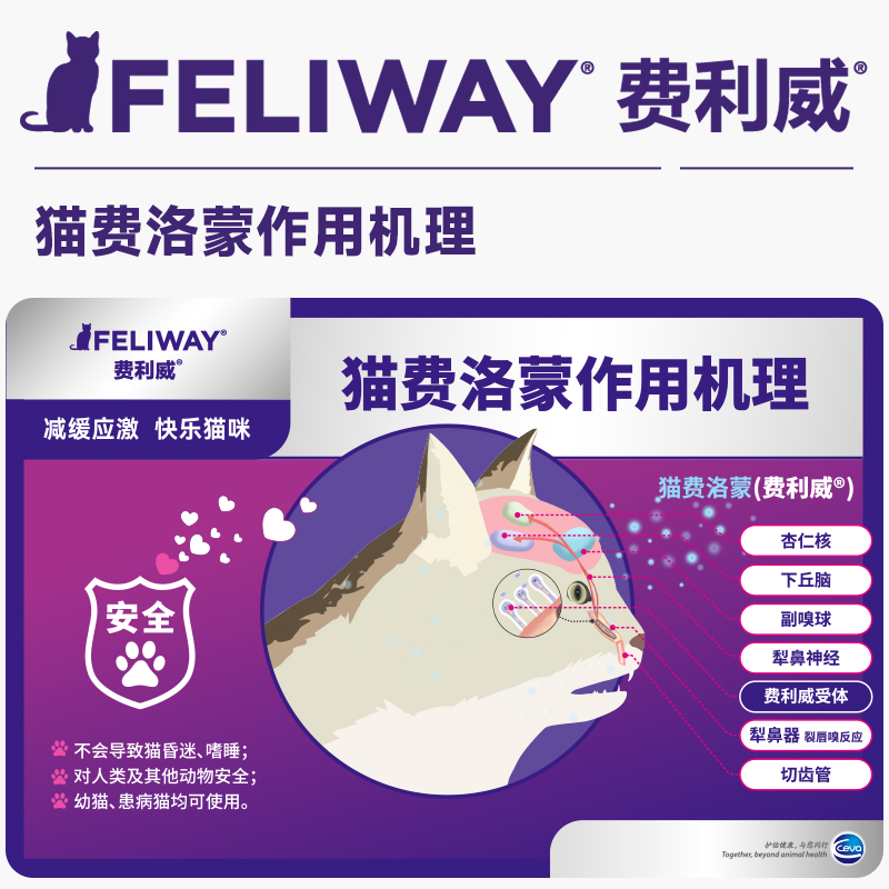 费利威FELIWAY朋友补充液48ml*2盒 多猫家庭预防情绪紧张打架怒视 - 图3