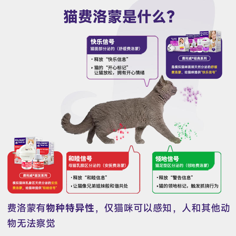 商品缩略图 3