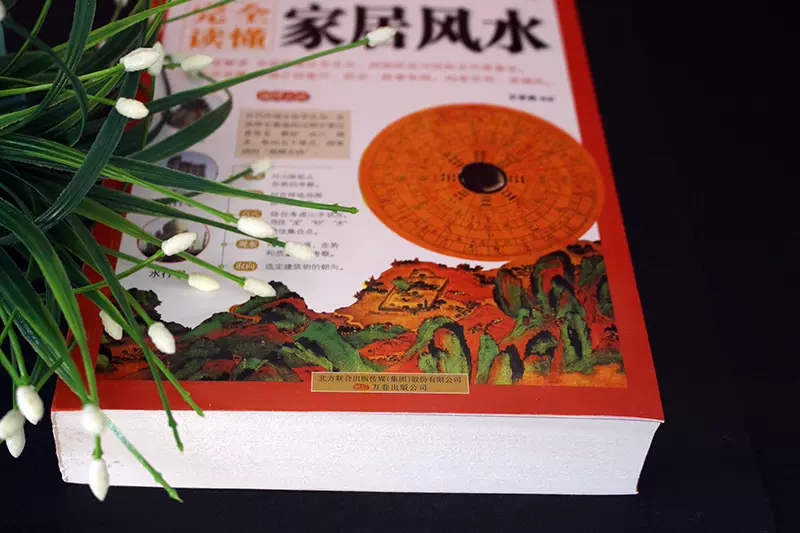 【书】全2册 风水理论研究+图解中国生存文化百科1001问（家居风水） - 图3