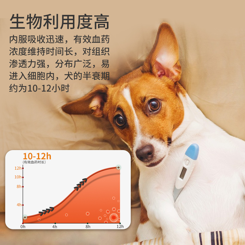 犬猫药盐酸多西环素片狗狗支气管炎宠物咳嗽药猫咪感冒肺炎犬窝咳 - 图3