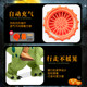 Children's Clothing Dinosaur Riding Mount Pants Performance Clothes