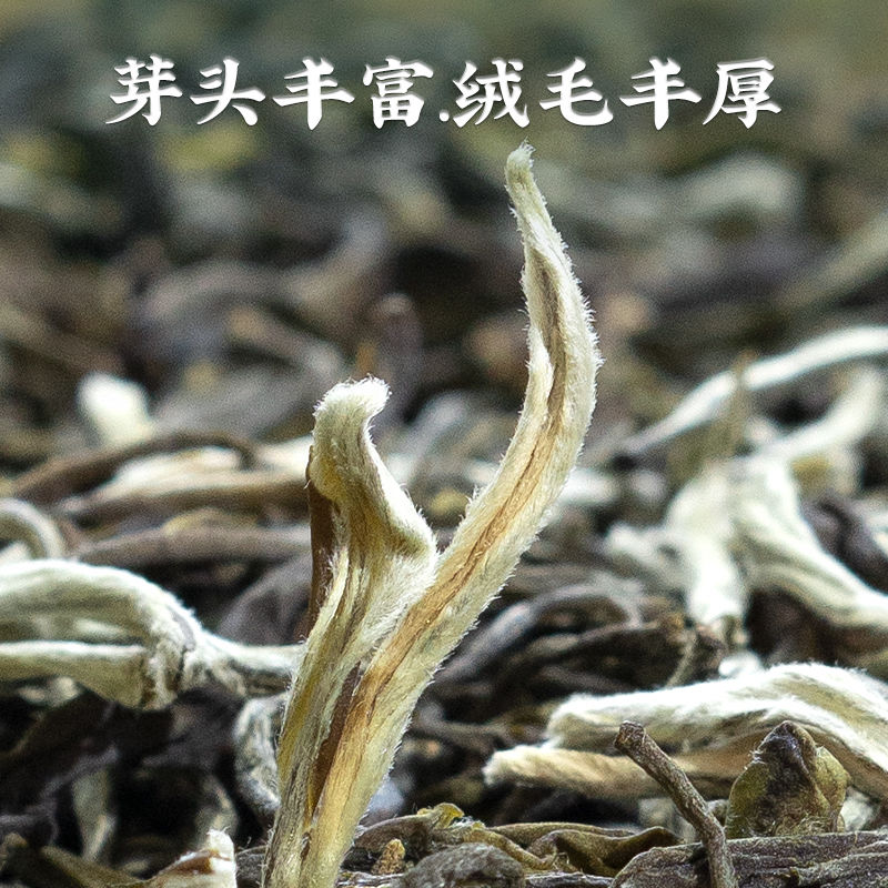 茉莉花茶特级正宗大白毫浓香型龙毫散装广西茉莉花茶2024新茶茶叶 - 图0