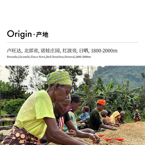 CoffeeBuff卢旺达诺娃庄园红波旁日晒精选批次手冲咖啡豆 - 图0