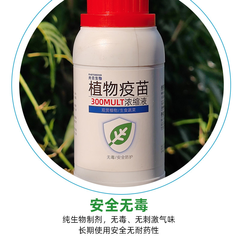 植物疫苗真菌细菌病毒防治壳寡糖丁几质生物免疫诱抗剂氨基寡糖素,淘宝优惠券,粉丝福利购,淘宝优惠卷