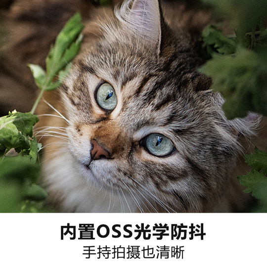 Sony E50mmF1.8OSS prime lens