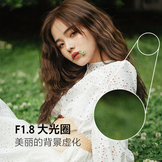 Sony E50mmF1.8OSS prime lens