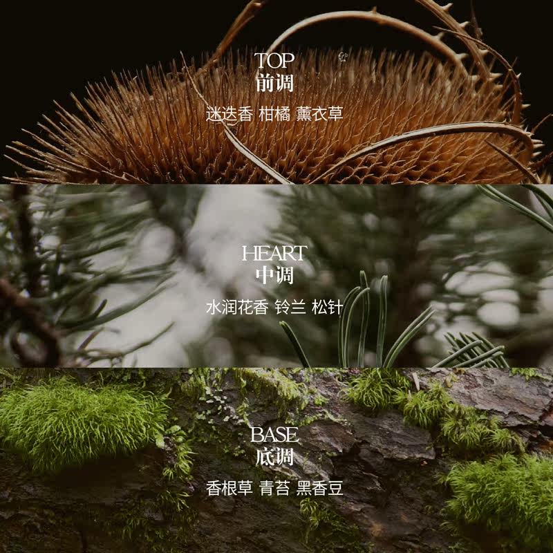 savhe萨和燃湖女士持久男士淡香水 SAVHE萨和香水