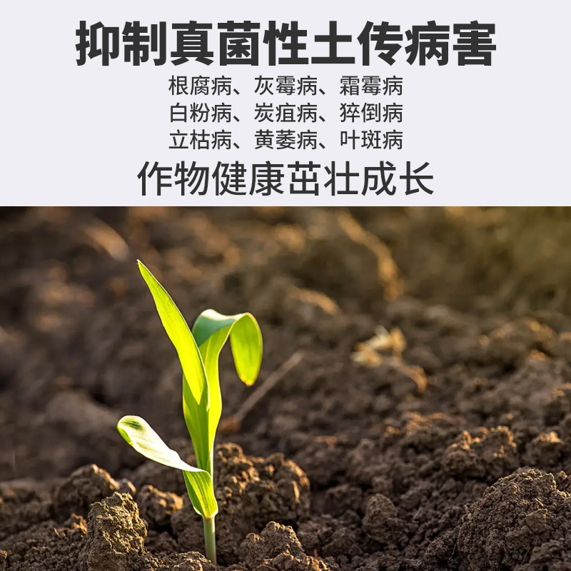 枯草芽孢菌杆菌哈茨木霉微生物菌剂农用有机肥料复合防根腐病专用 - 图2