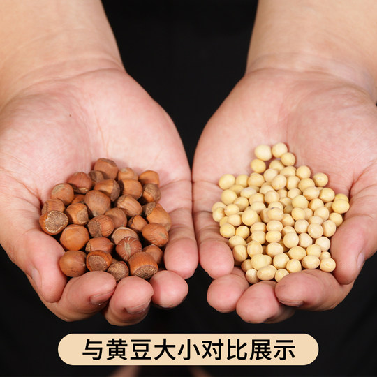 Northeast specialty Tieling wild special grade open large hazelnuts